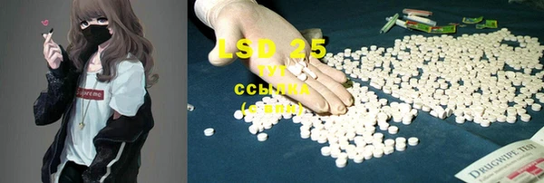 ECSTASY Богданович