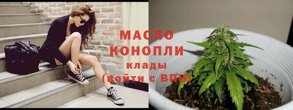 ECSTASY Богданович