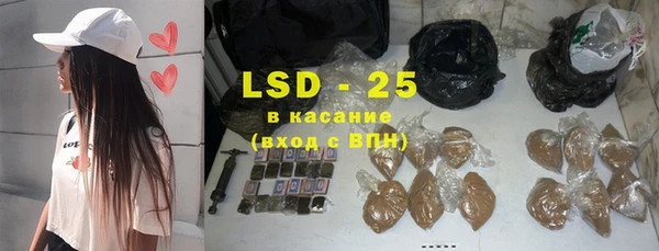 ECSTASY Богданович