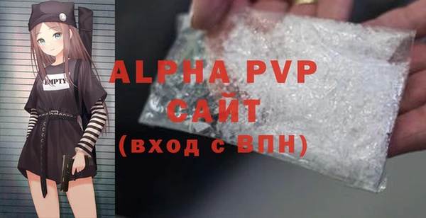 ECSTASY Богданович