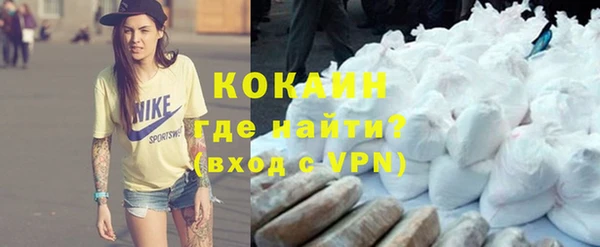 ECSTASY Богданович