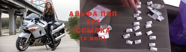 ECSTASY Богданович