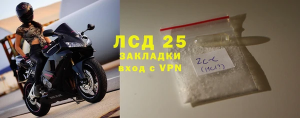 ECSTASY Богданович
