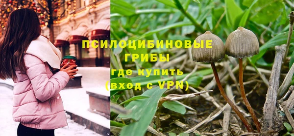 наркотики Богородск