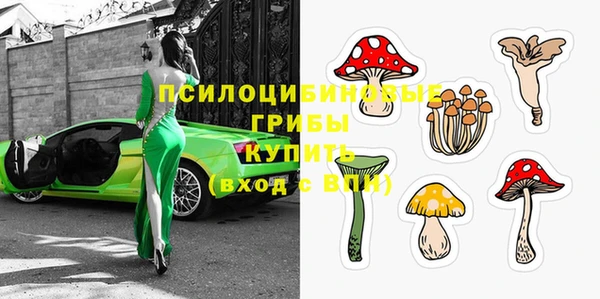 ECSTASY Богданович