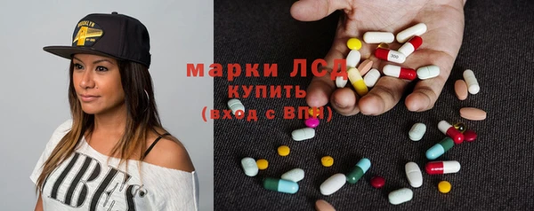 ECSTASY Богданович