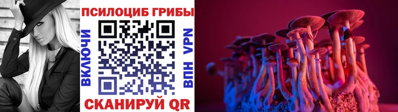 Галлюциногенные грибы Psilocybine cubensis  цены   Донецк 
